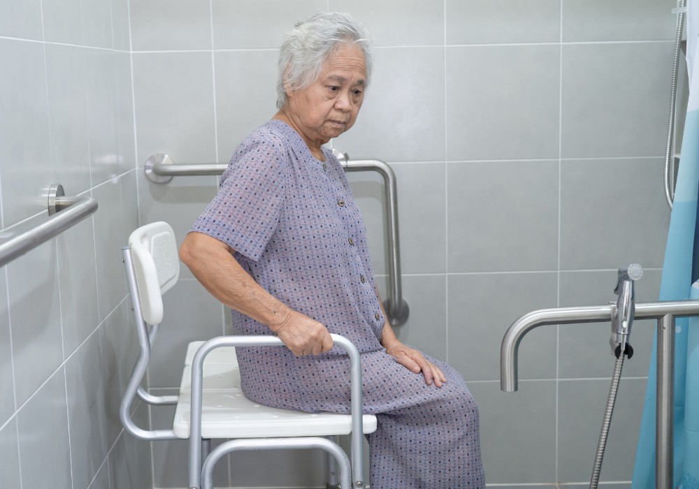 Toilet Assistance