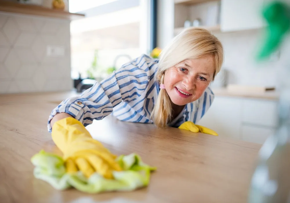 Professional Cleaning and Housekeeping